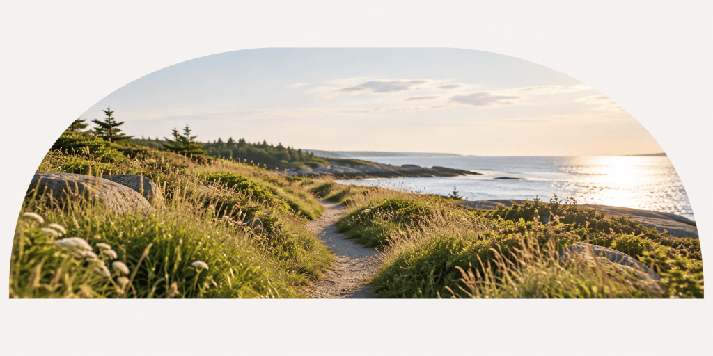 Coastal path winding through grasses toward the ocean.